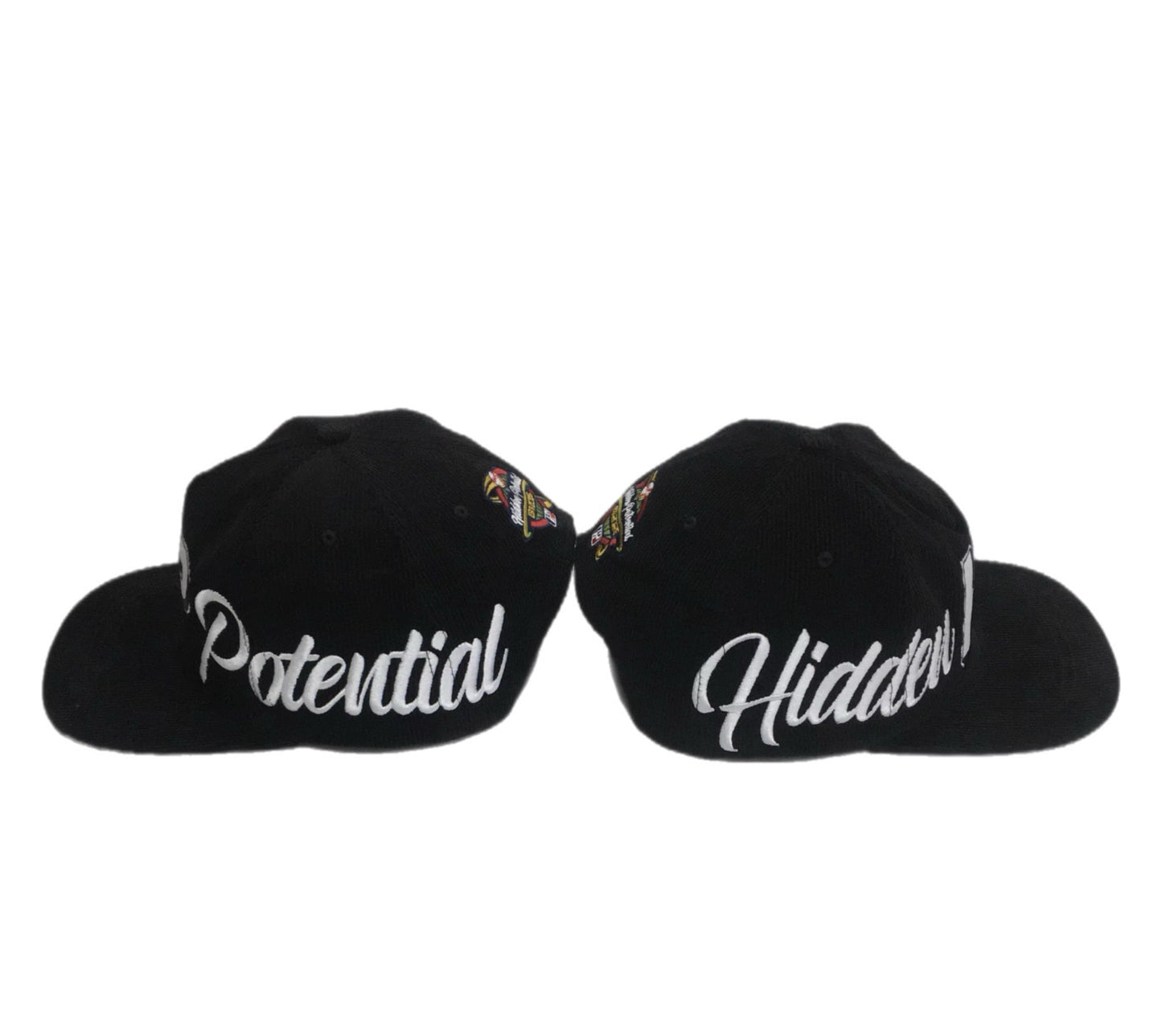 Leopard Brim SnapBack