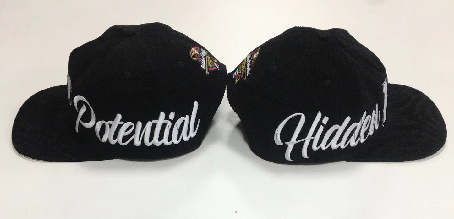 Leopard print HP Snapback!